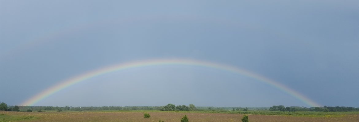 Rainbow of farm field.